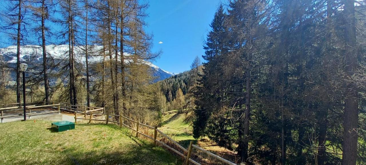 Stelviostay Stelvio Valdisotto