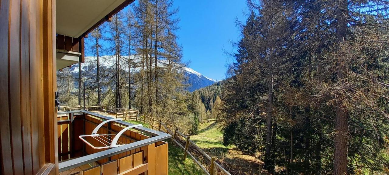 Stelviostay Stelvio Valdisotto