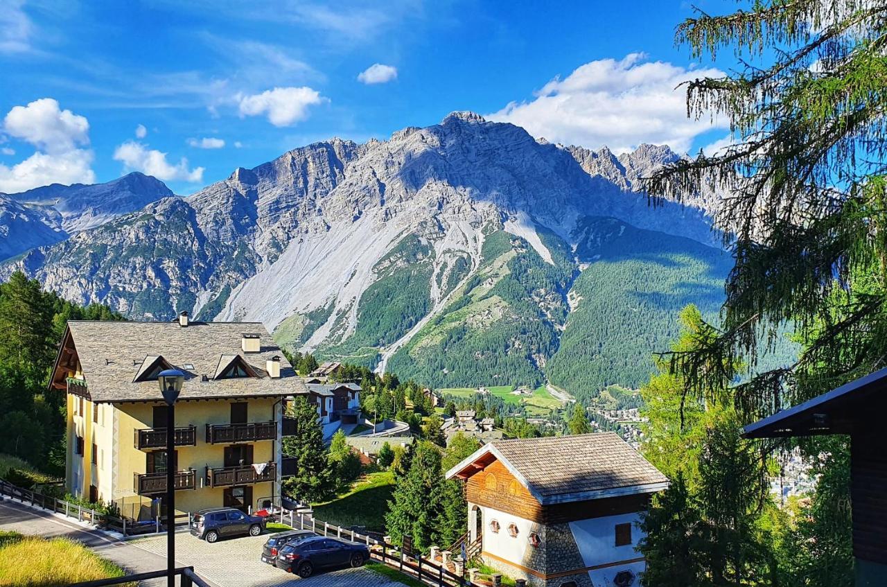 Stelviostay Stelvio * Valdisotto