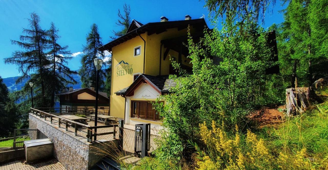 Stelviostay Bilo 6